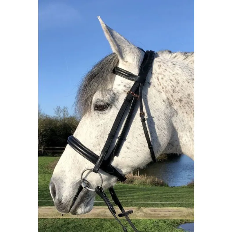 Jeffries Aura Padded Show Cavesson Bridle in Black with Rose Gold